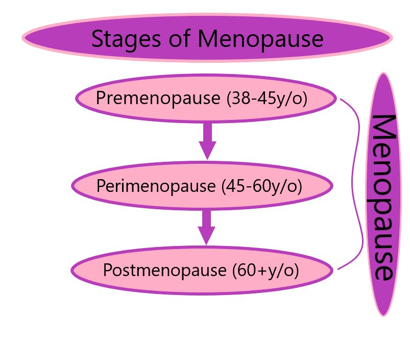 Menopause 3 stages indicator flow chart